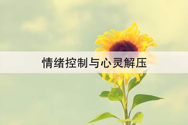 九游官网入口：饮食调养与适量运动：养生的两大基石(图5)