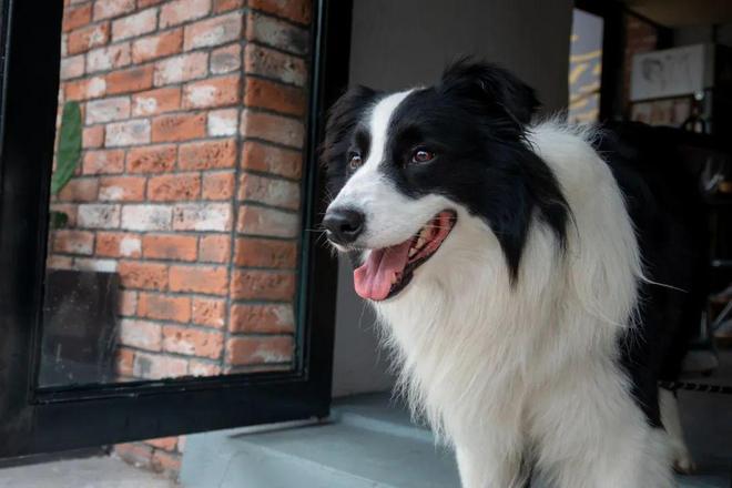 100%健身简餐指南拯救没食欲的夏天！(图12)