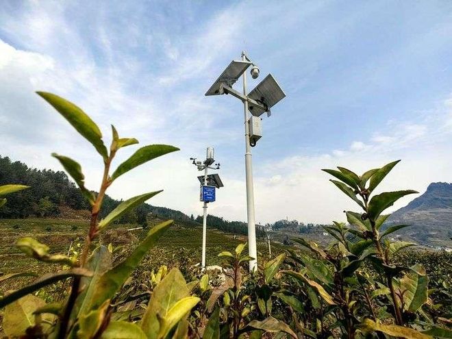 一杯奶茶的“5G”含量有多少？(图2)