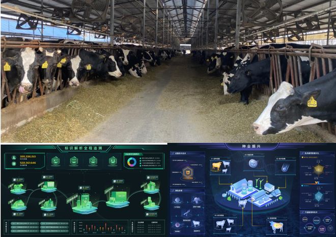 一杯奶茶的“5G”含量有多少？(图4)