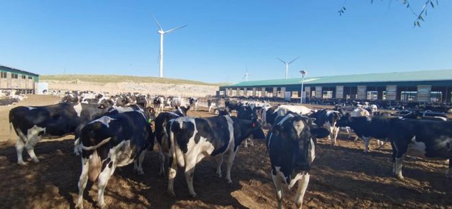 一杯奶茶的“5G”含量有多少？(图3)