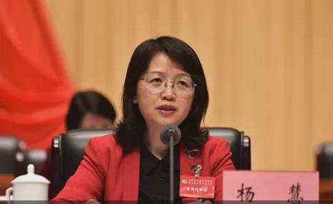 九游app：女厅官杨慧被开除党籍和公职！曾花4000万买别墅、850万装修极尽奢华→(图2)