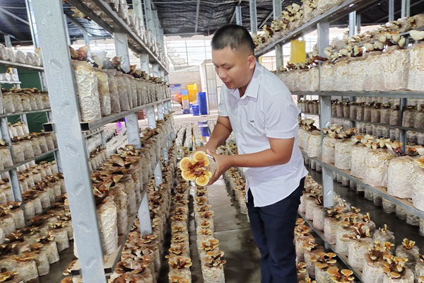 集体经济反哺民生 贵港市永福村爱心食堂揭牌开业(图3)