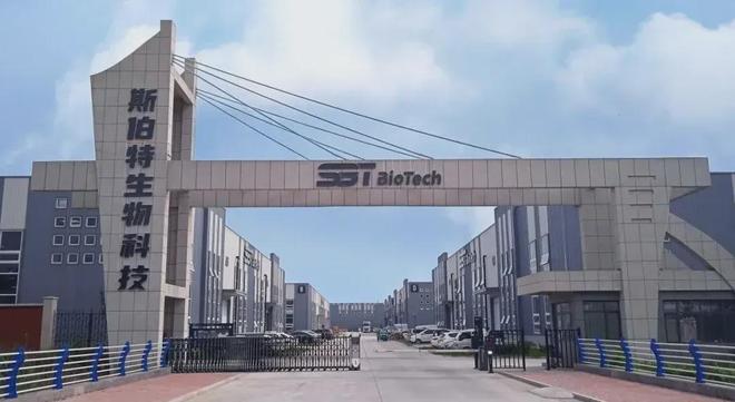 诺特兰德的“红与黑”(图5)