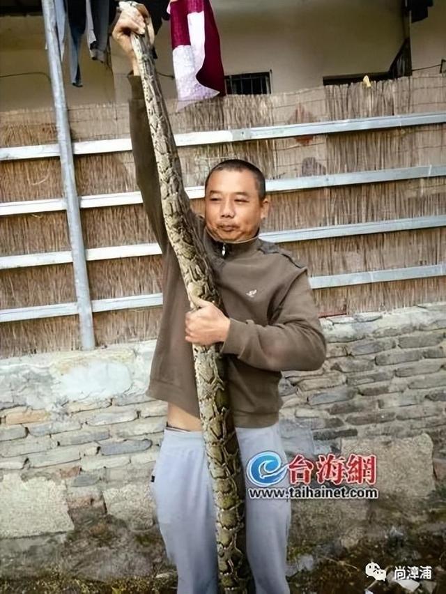 三亚女游客被咬后曾咨询鉴蛇博主“啊宝”本人回应(图3)