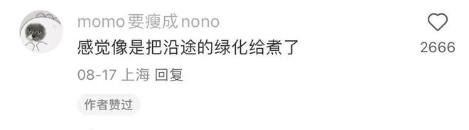 高铁轻食餐来了网友：“像把绿化带煮了”但真香(图2)