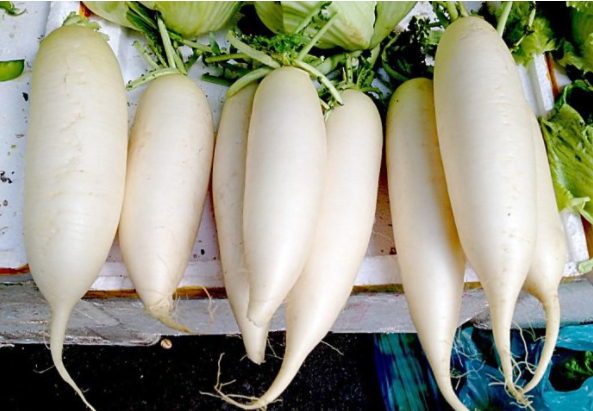 【轻食食材】强推10种高纤维食物让你在饱腹感中瘦下来(图5)