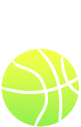 九游app：燃动全城！射阳“瘦身经济”焕发绿色健康新活力(图2)