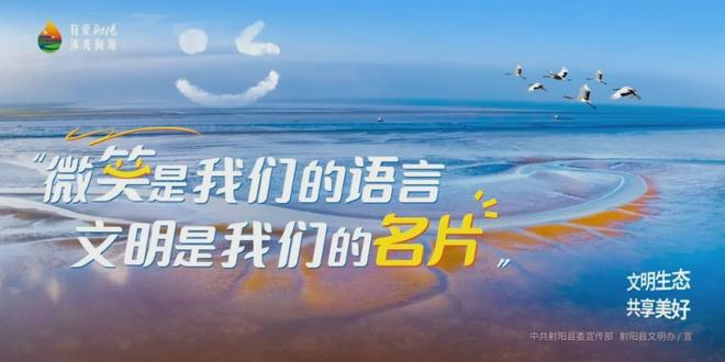 九游app：燃动全城！射阳“瘦身经济”焕发绿色健康新活力(图11)