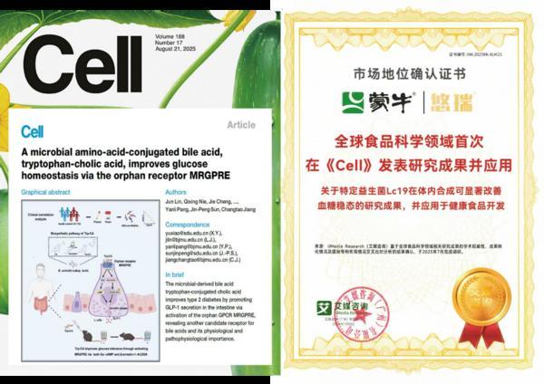 蒙牛上榜《财富》2025最受赞赏中国公司 创新引领行业可持续发展(图2)