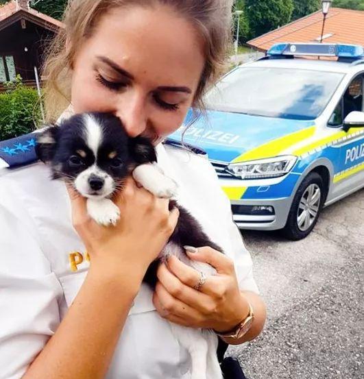 你是性感模特吗？抱歉我是警察！(图12)