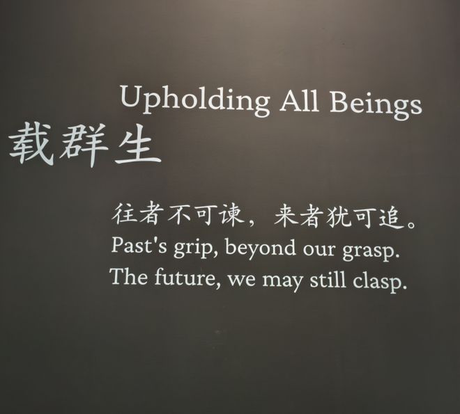 全球最大成人网站OnlyFans卖身了原来只值这个价？(图11)