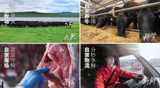 九游app：餐饮新商战：用一场球赛“征服”新中产(图7)