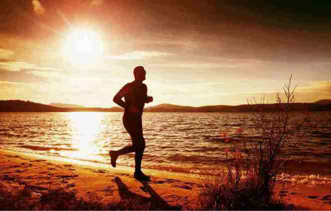 营养均衡的现代挑战？平衡快餐与健康饮食的秘诀(图7)