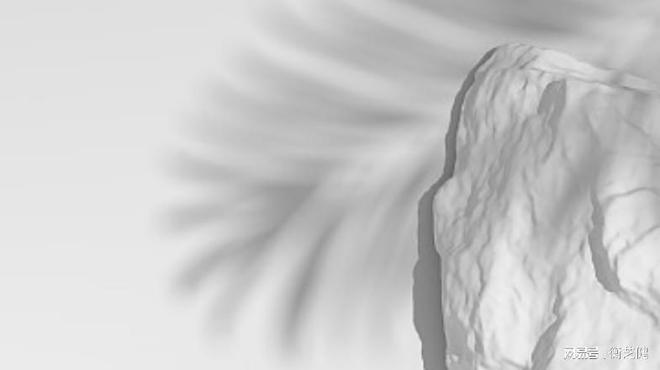 九游体育：衡芝健 8 大扶持轻松切入大健康(图2)