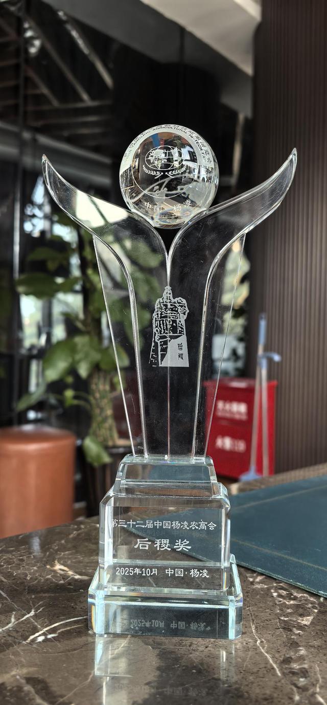 “糖友”福音！淳化“荞花郎”魔芋荞麦面斩获“后稷奖”开启健康主食新革命(图2)