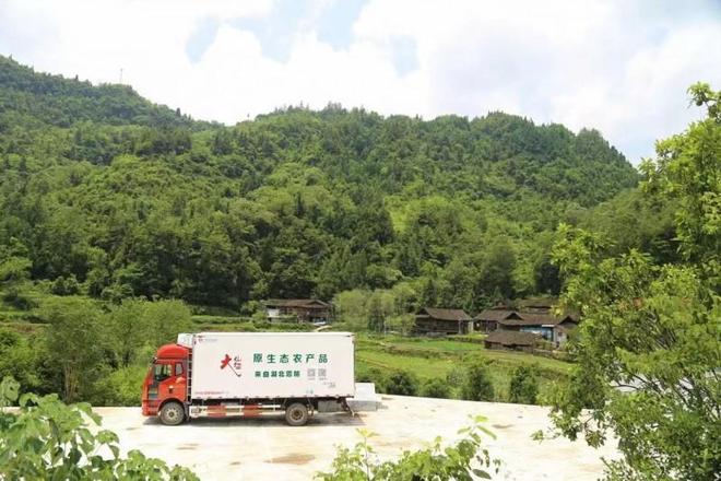 九游体育：张金成的大山猫生态农业模式：开创自然健康食品新时代与社会共赢(图3)