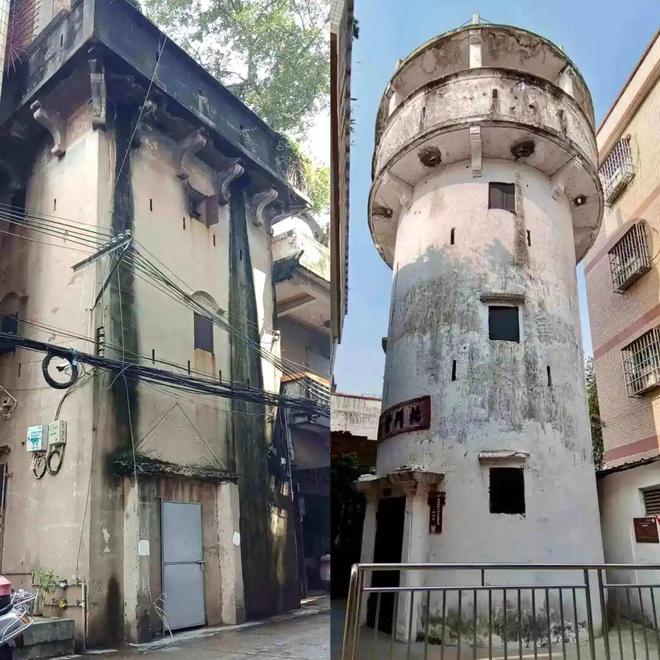 九游app：跟着赛事游荷塘！用“运动视角”解锁水乡的另一面(图6)