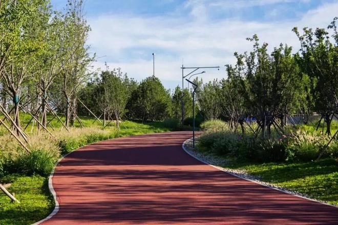 解码“10分钟健身圈”：海淀如何让全民健身举步可及？(图3)