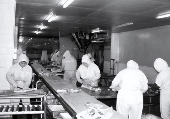 九游体育：3年少卖15万吨！曾经人人都爱的火腿肠为啥没人吃了？有3大原因(图7)