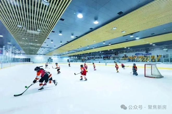 聚焦金隅公园东序售楼处发布：公园东序以品质铸就传奇!(图26)