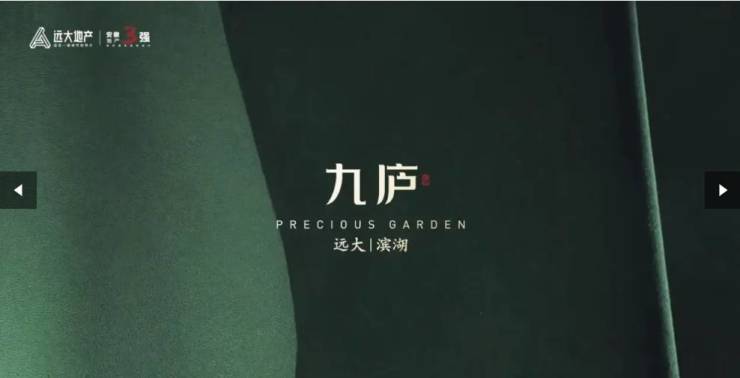 合肥远大九庐 从品质交付到长效服务的温暖跨越(图2)