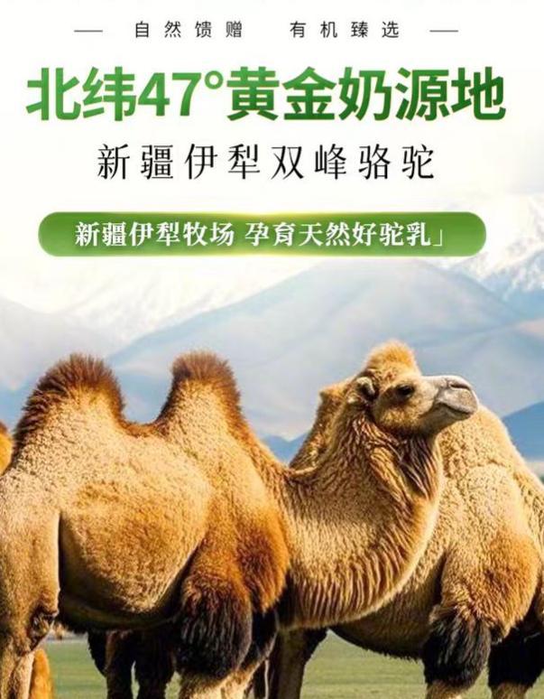 驼奶粉品牌权威排名出炉揭晓正宗品牌前十名！(图4)