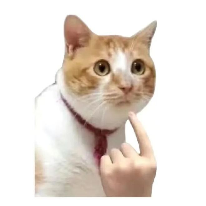 一种全网都在捧的养生饮品以为大补小心实则是糖水(图14)