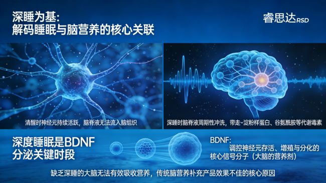 睿思达特膳食品重磅发布：以专利技术护深睡以优质品质筑脑营养(图3)