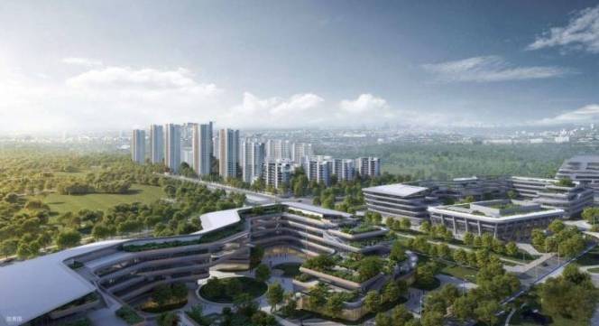 合肥伟星万科星遇光年项目户型图-学区(图5)